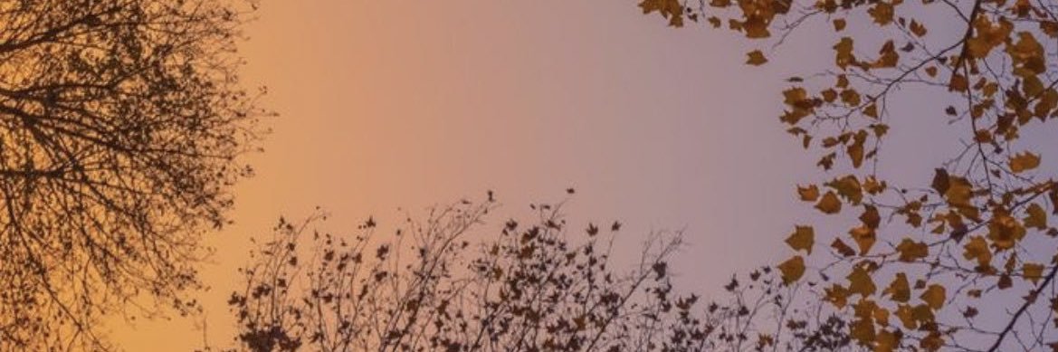 AngelaAM14's profile banner image