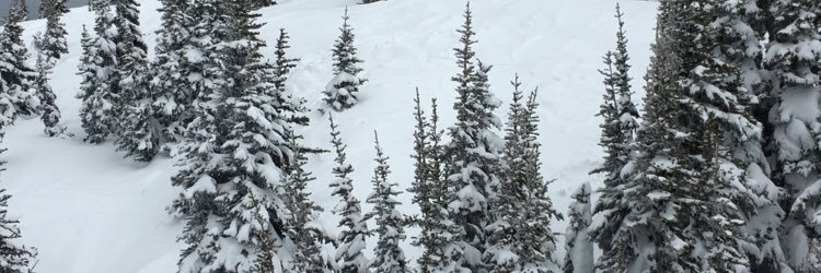 KaraHolmberg's profile banner image