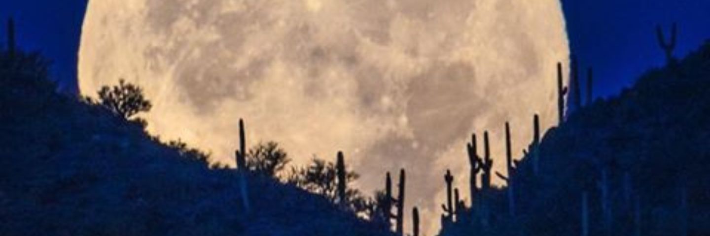 sweetpumpkin413's profile banner image