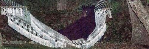 subacus.bsky.social banner