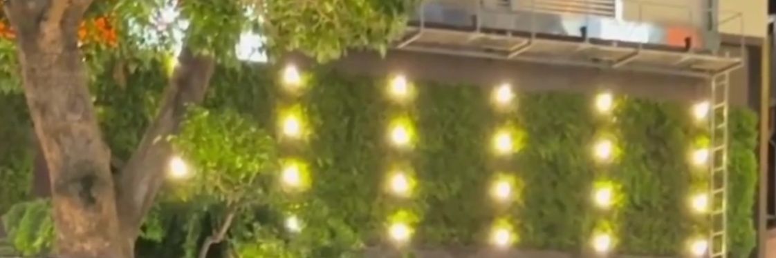 照柿れんじ🍊 banner