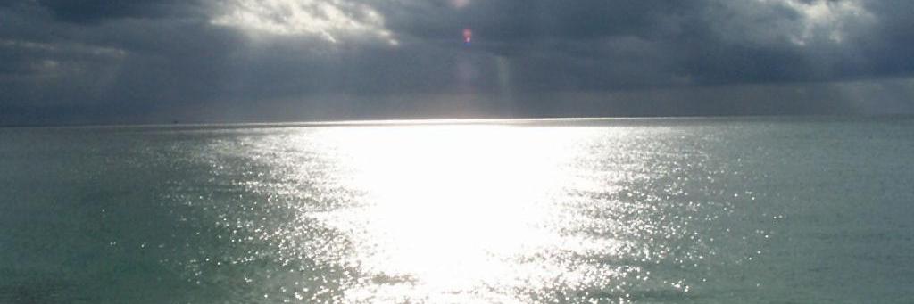 cutvarestback11's profile banner image