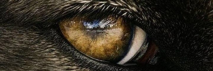 wilberrivera37's profile banner image