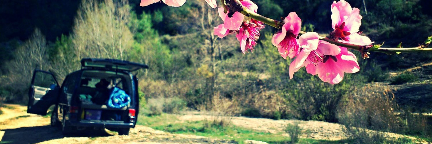 rogertraveset's profile banner image