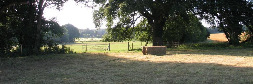 SaveWinchfield's profile banner image