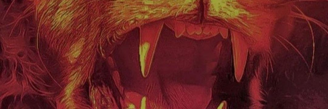 ozsu_0's profile banner image