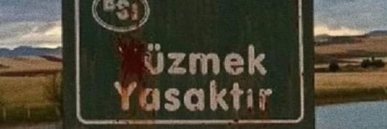 dmrrmelike's profile banner image