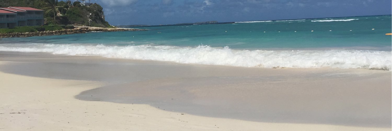 beverleyswilson's profile banner image