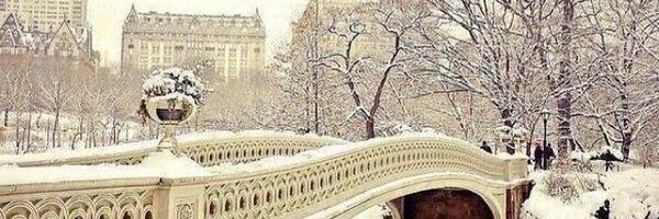 QueenPhD1's profile banner image