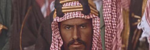 فضل سالمين🇹🇩🇸🇦 banner