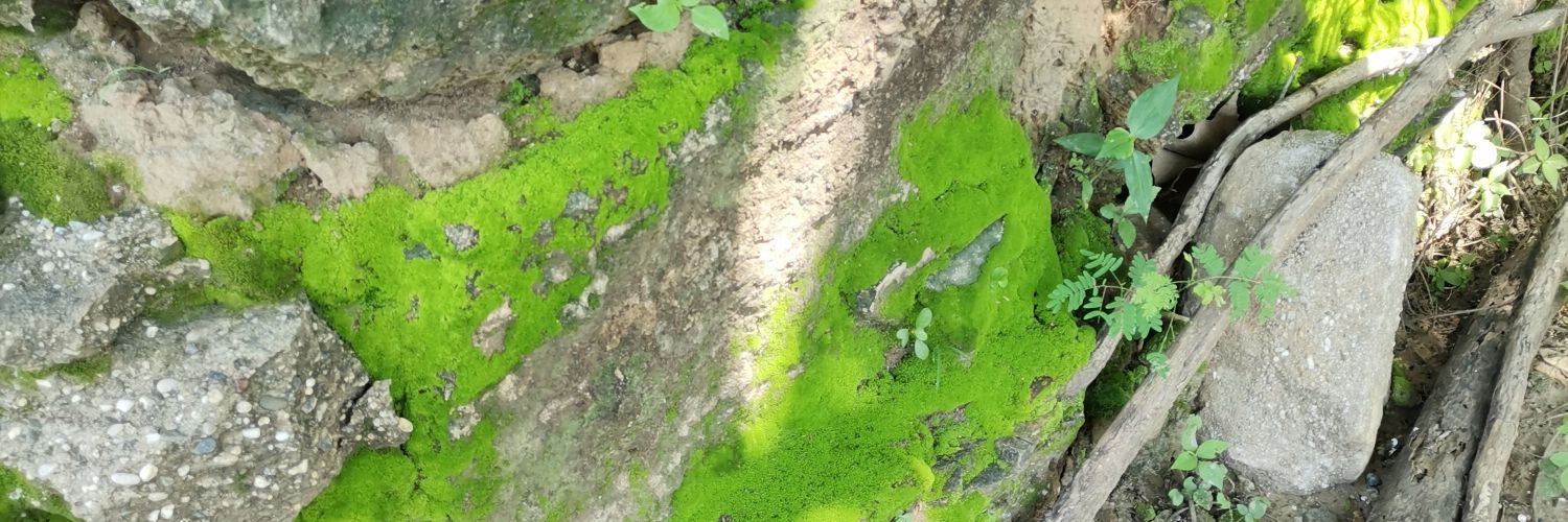 Rabitinmotion's profile banner image