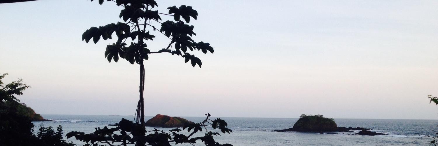 Omar R Lopez Alfano, PhD banner