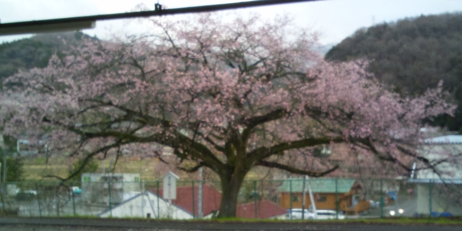 treetop951's profile banner image