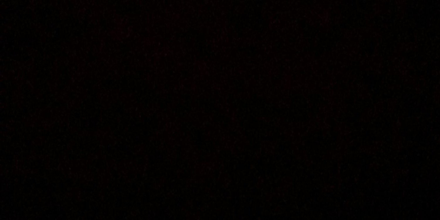 allisvnsteele's profile banner image