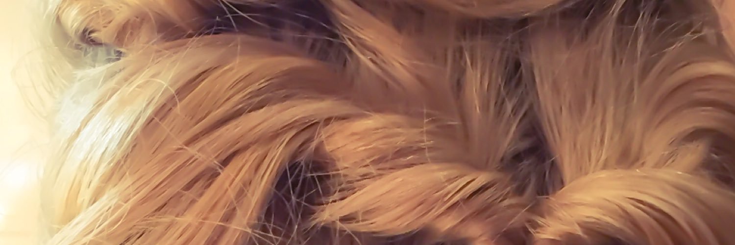 DevonBreeBaker's profile banner image