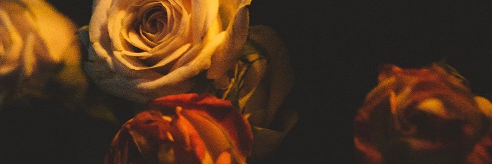 rananrin0923's profile banner image