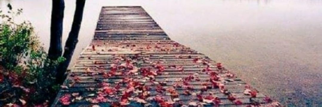 Rofaat63's profile banner image