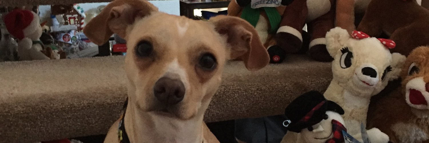 Runts54's profile banner image