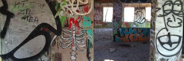 ClaireHCameron Profile Banner