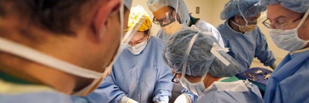 Andre Campbell, MD, FACS, FACP, FCCM, MAMSE, FCCOS's banner