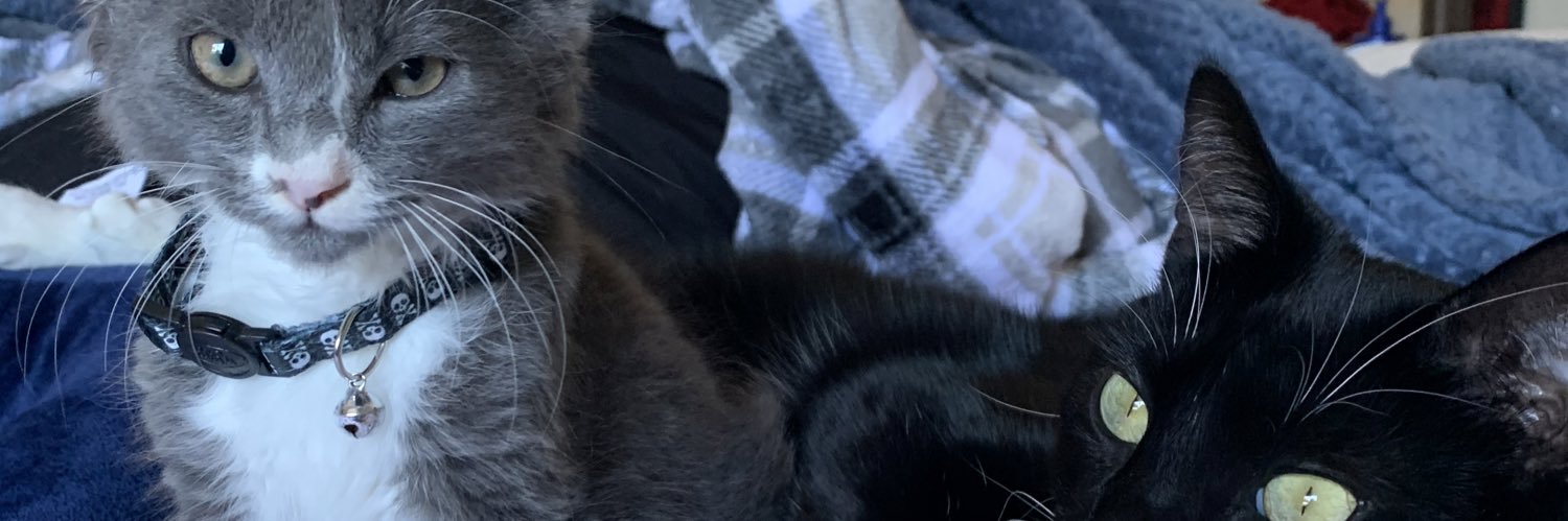 _its_noee_'s profile banner image