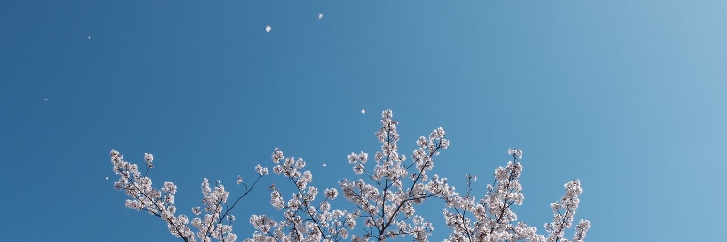 helada71's profile banner image