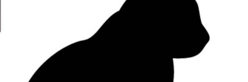 ねこやなぎ＠ねも banner