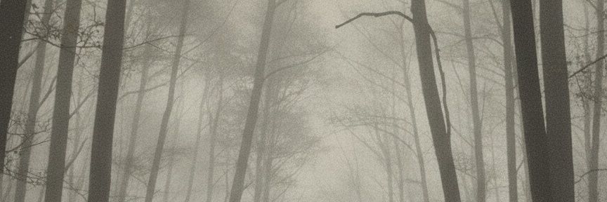 eiviitsii's profile banner image