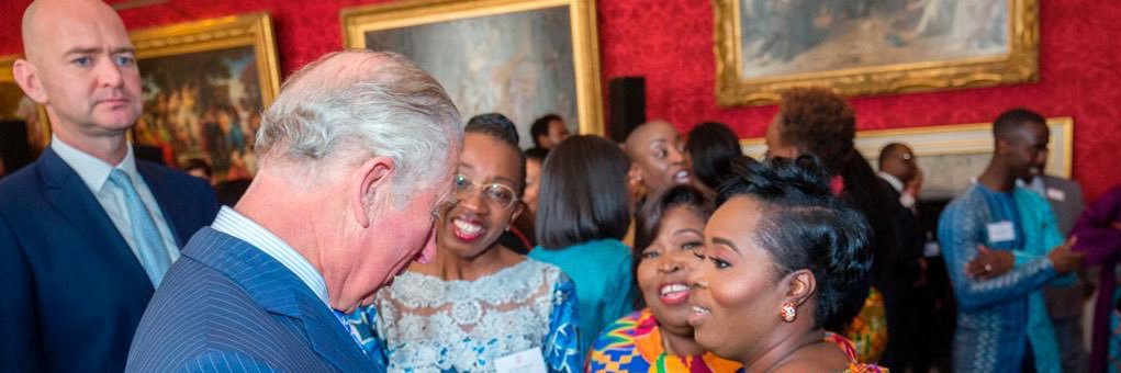 Elaine C Walker BSc, MSc banner