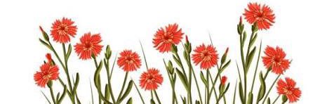 alwayss_be_kind's profile banner image