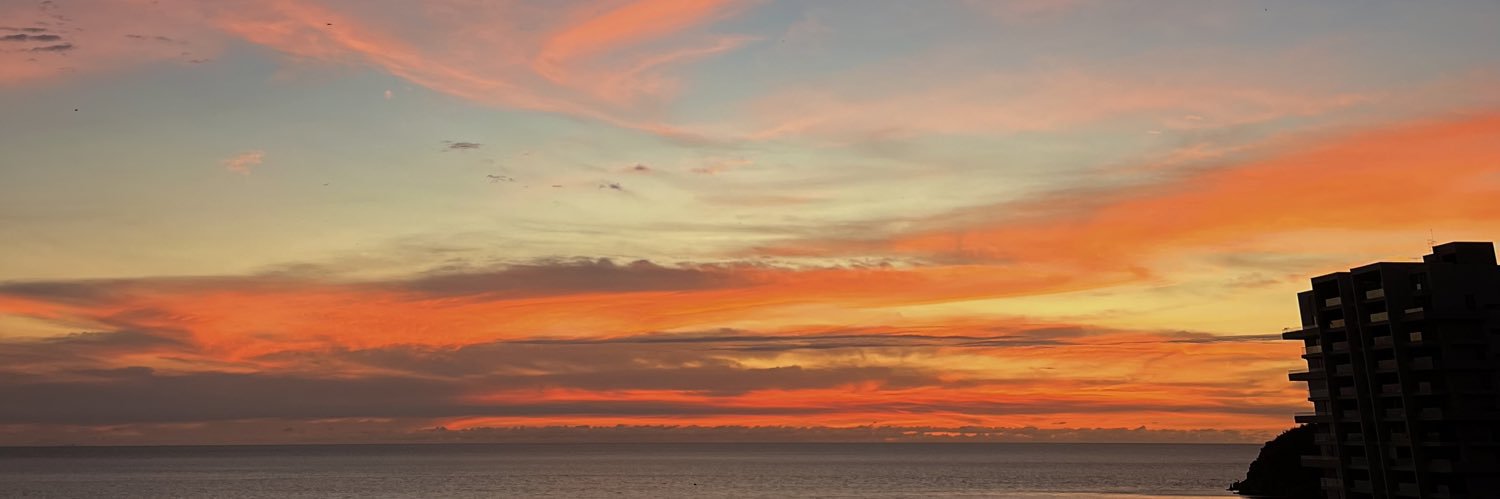Carolina Saavedra banner