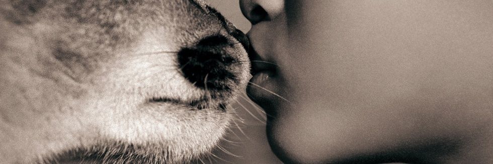 Hayvana Merhamet banner