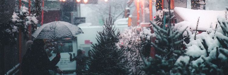 Miiranda_Re's profile banner image