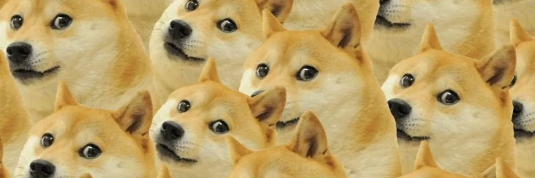 jingo166's profile banner image