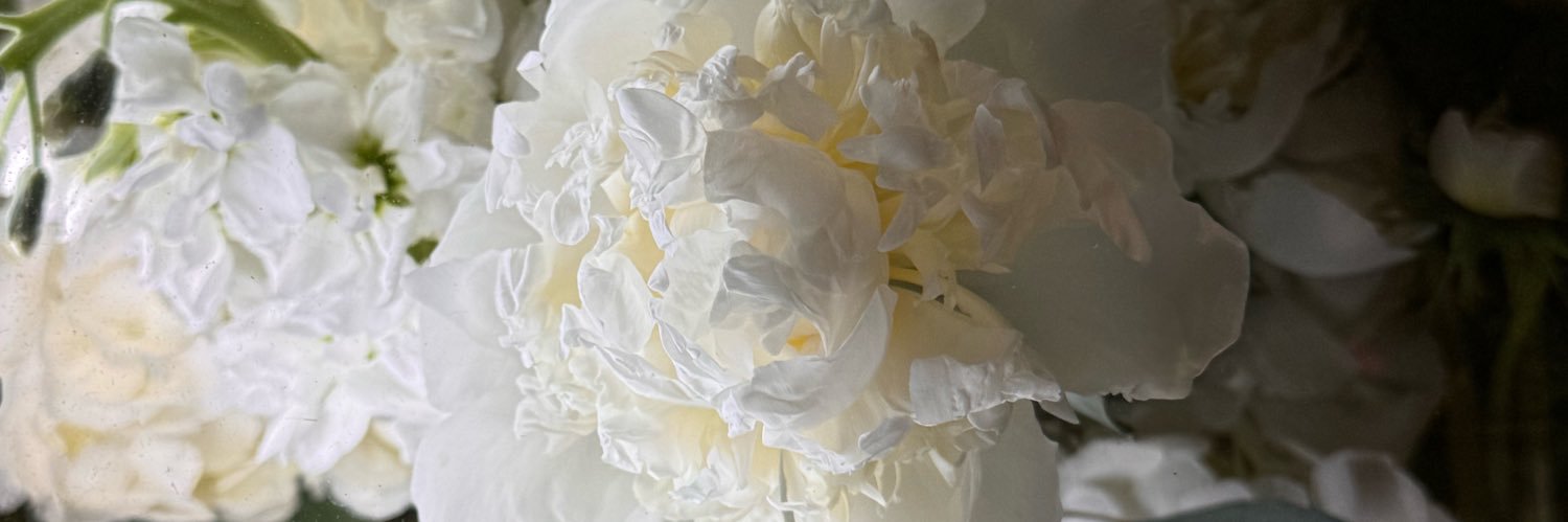 danielaamz1's profile banner image