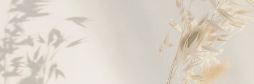 lisochapice's profile banner image