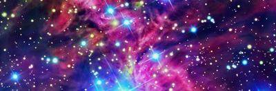 datsenko_lika's profile banner image