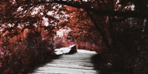 NathanDanielWFB's profile banner image