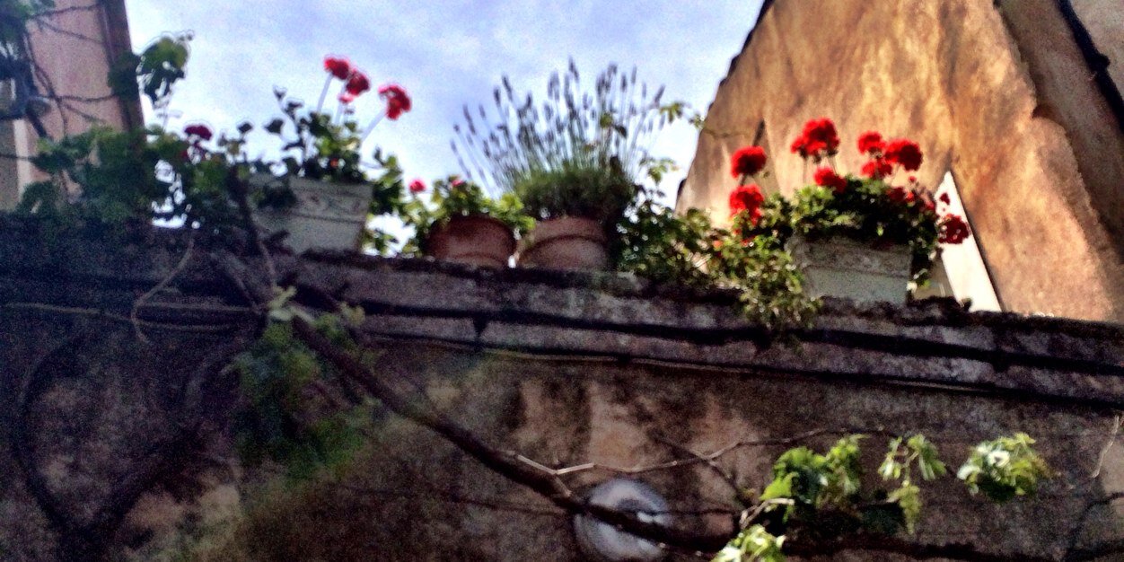 cafeducap's profile banner image
