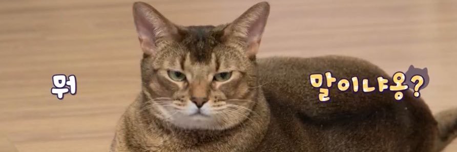 chubbycheeksq's profile banner image