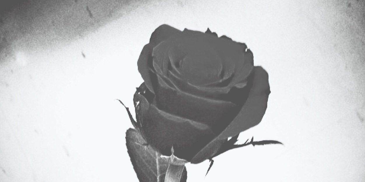 suha sh||سُـهـا شرف banner