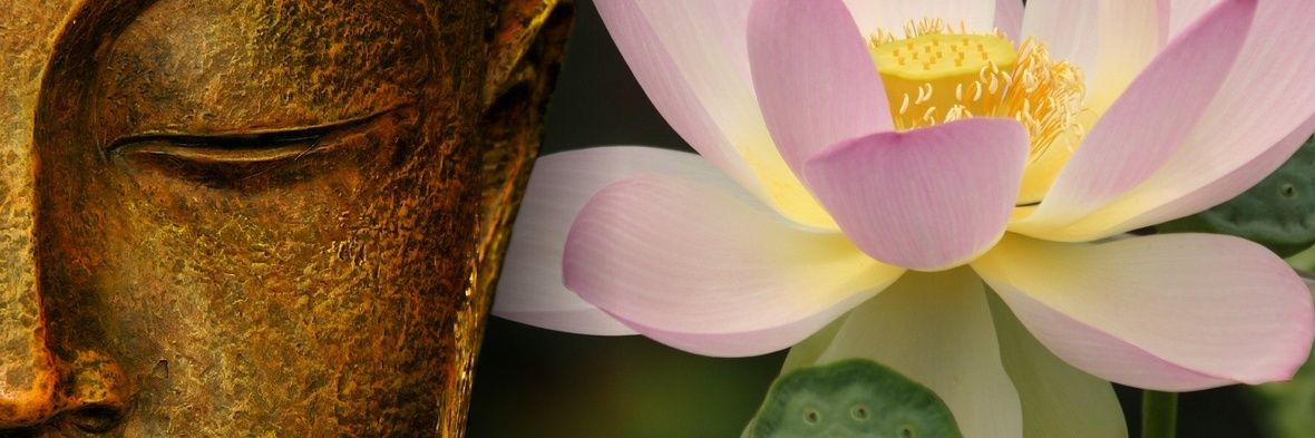 colombiano ofendido! banner