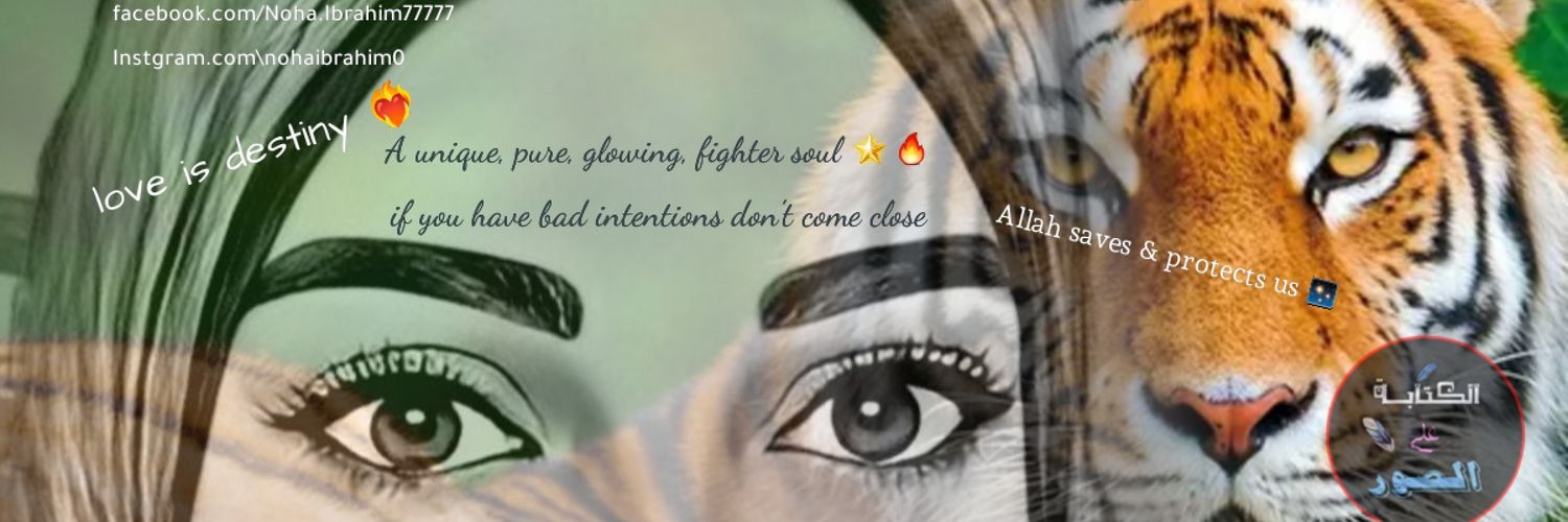NohaIbrahim0's profile banner image