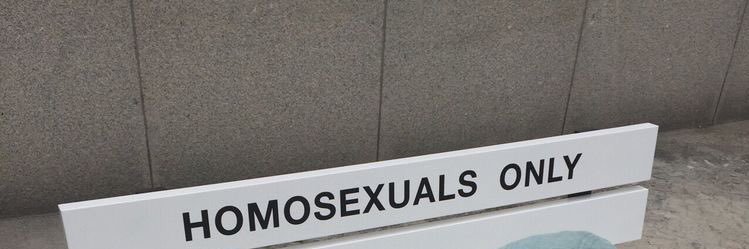 🦕 banner