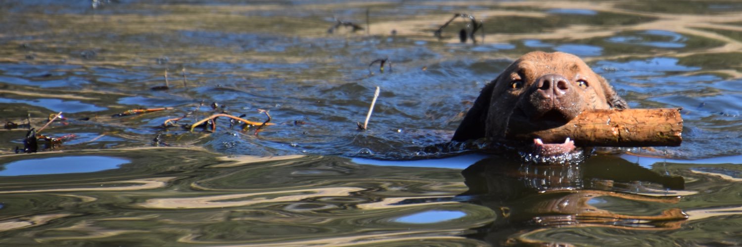 Jonathan Feins banner