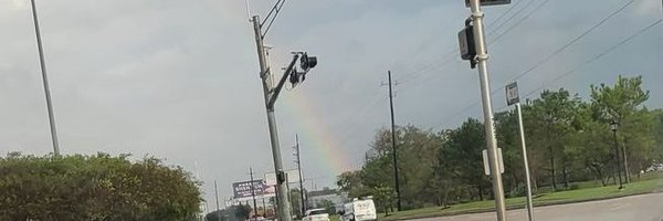 cecilialaraLOTE Profile Banner