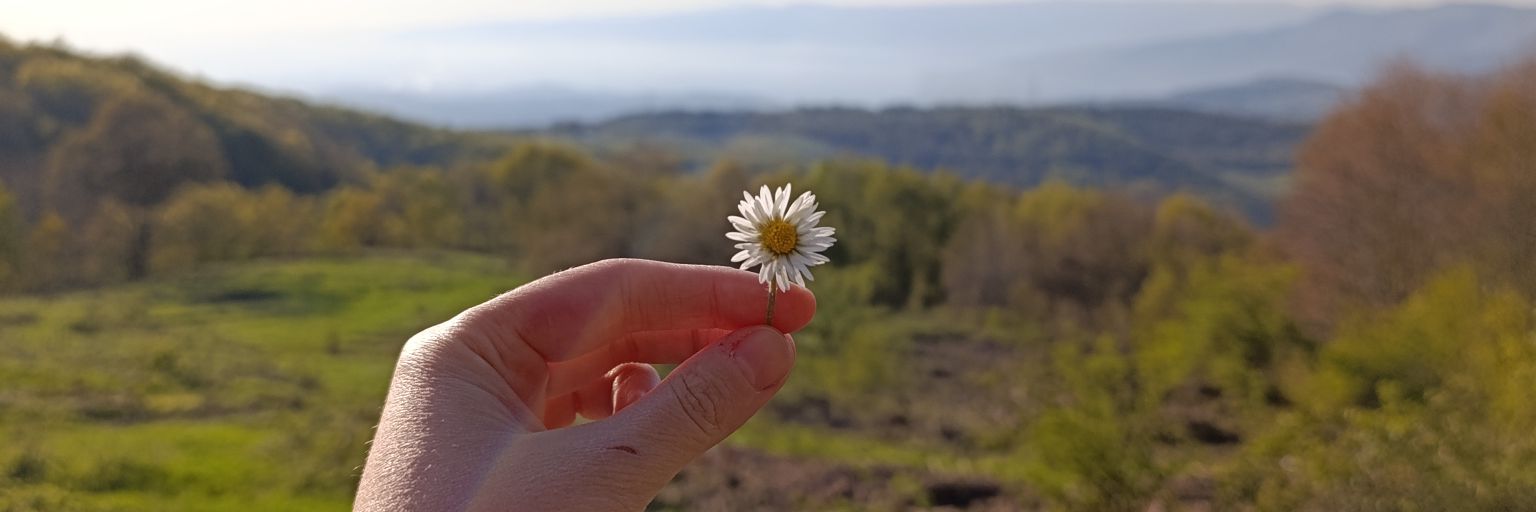 Mavicizade's profile banner image