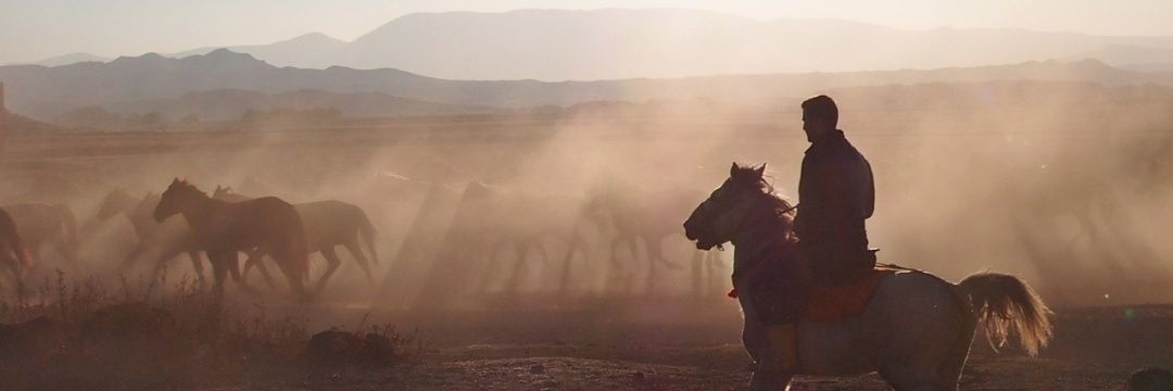 konansamet's profile banner image