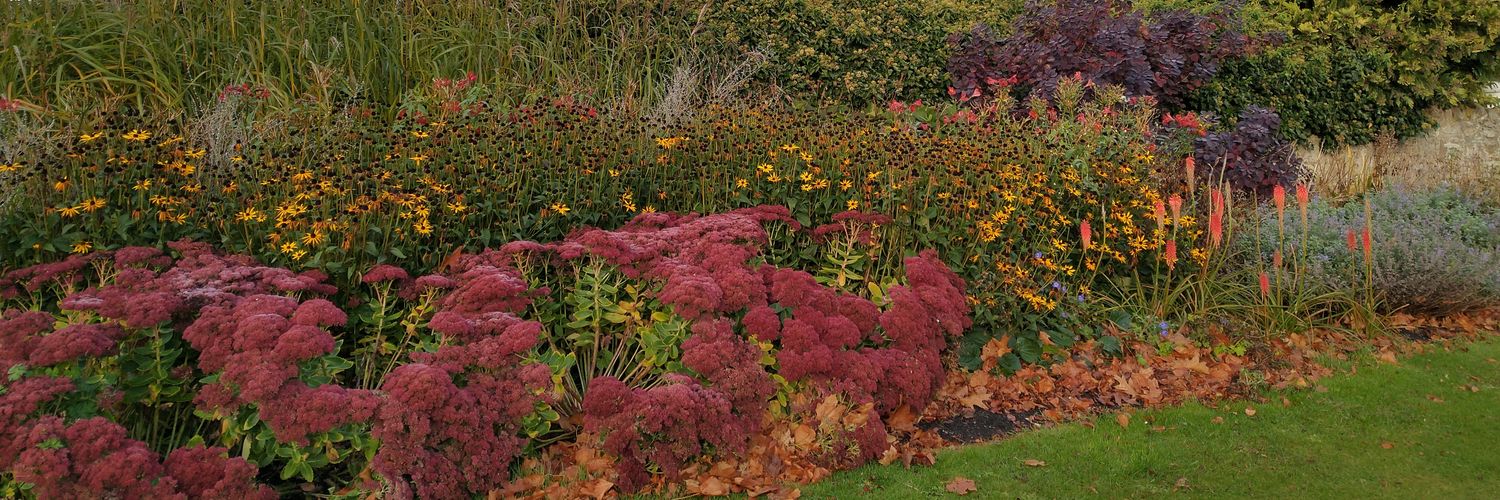 Blooming Haddington (@BloomingHadd) / Posts / X