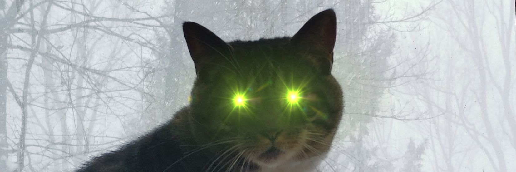 ImDead2YouX's profile banner image